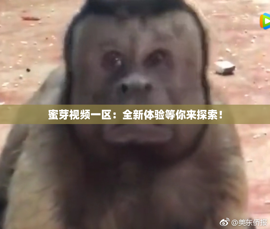 蜜芽视频一区：全新体验等你来探索！