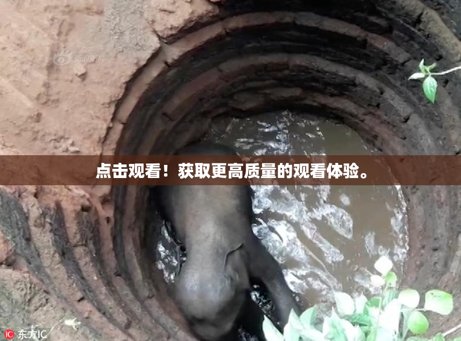 点击观看！获取更高质量的观看体验。