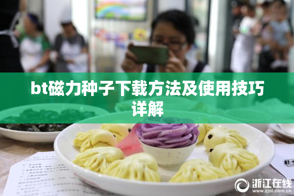 bt磁力种子下载方法及使用技巧详解