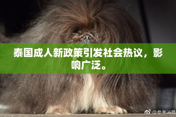 泰国成人新政策引发社会热议，影响广泛。