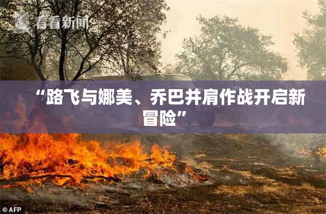 “路飞与娜美、乔巴并肩作战开启新冒险”