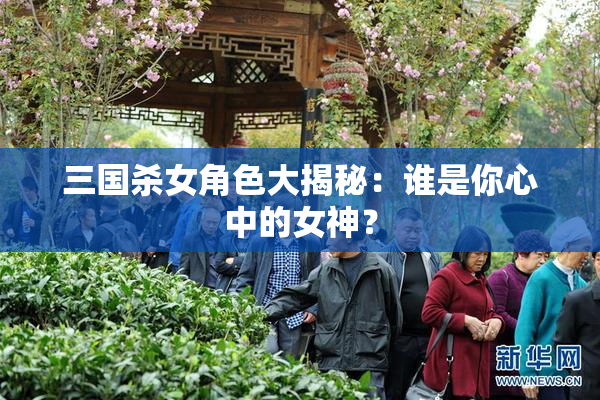 三国杀女角色大揭秘：谁是你心中的女神？