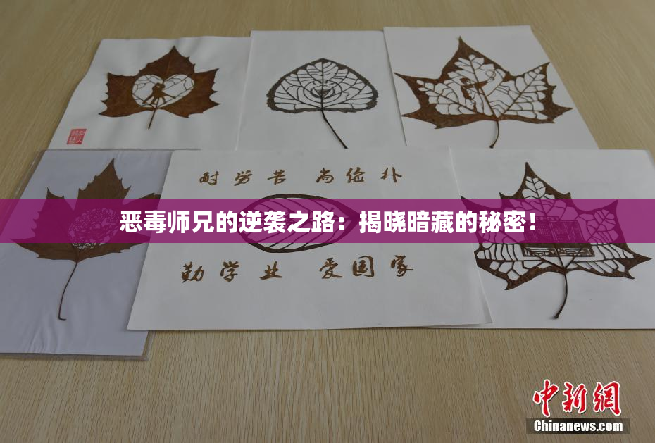 恶毒师兄的逆袭之路：揭晓暗藏的秘密！