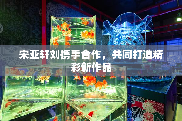 宋亚轩刘携手合作，共同打造精彩新作品