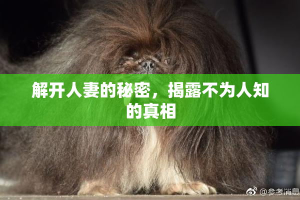 解开人妻的秘密，揭露不为人知的真相