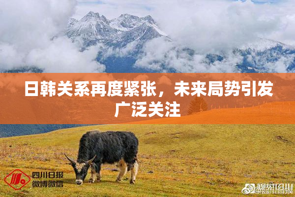 日韩关系再度紧张，未来局势引发广泛关注