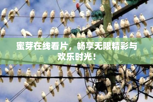 蜜芽在线看片，畅享无限精彩与欢乐时光！