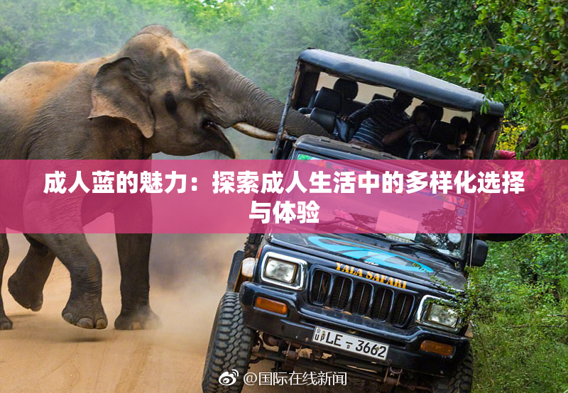 成人蓝的魅力：探索成人生活中的多样化选择与体验