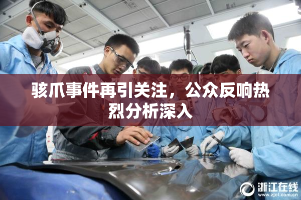 骇爪事件再引关注，公众反响热烈分析深入
