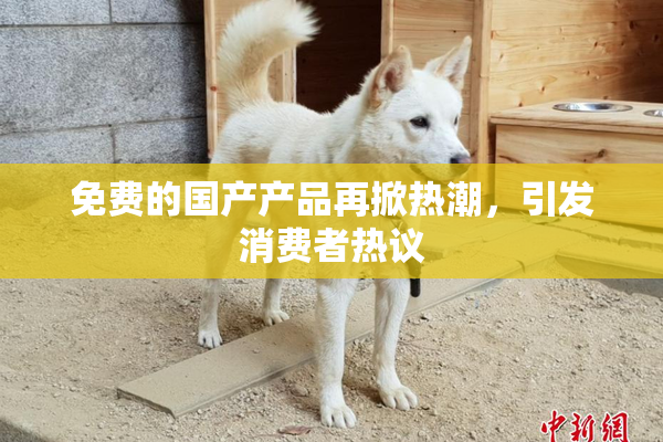 免费的国产产品再掀热潮，引发消费者热议