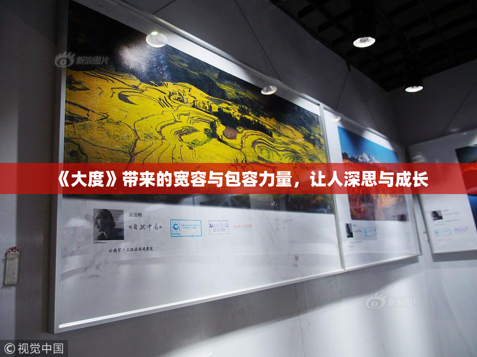 《大度》带来的宽容与包容力量，让人深思与成长