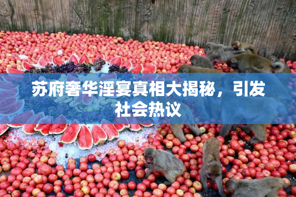 苏府奢华淫宴真相大揭秘，引发社会热议