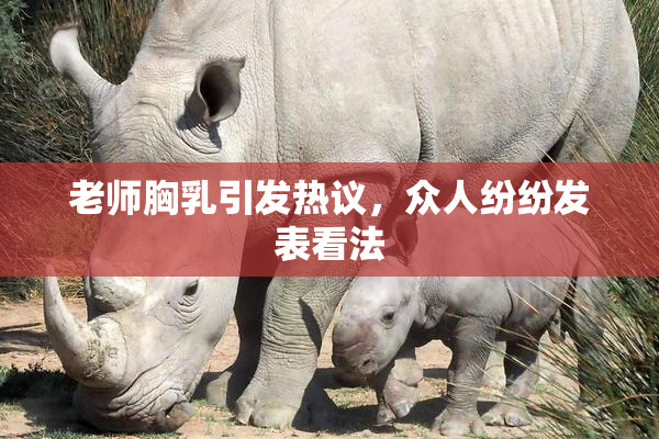 老师胸乳引发热议，众人纷纷发表看法