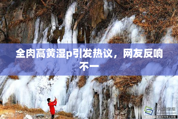 全肉高黄湿p引发热议，网友反响不一