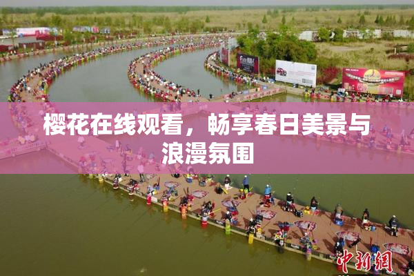 樱花在线观看，畅享春日美景与浪漫氛围