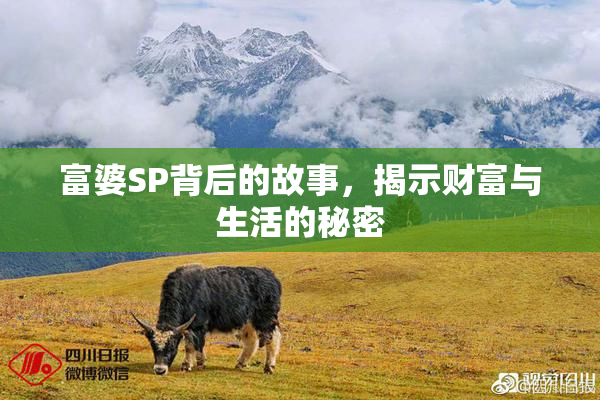 富婆SP背后的故事，揭示财富与生活的秘密
