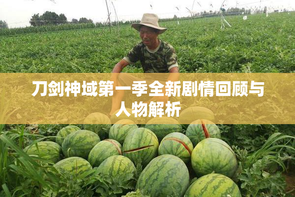 刀剑神域第一季全新剧情回顾与人物解析