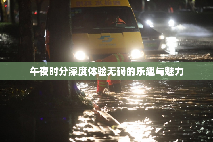 午夜时分深度体验无码的乐趣与魅力