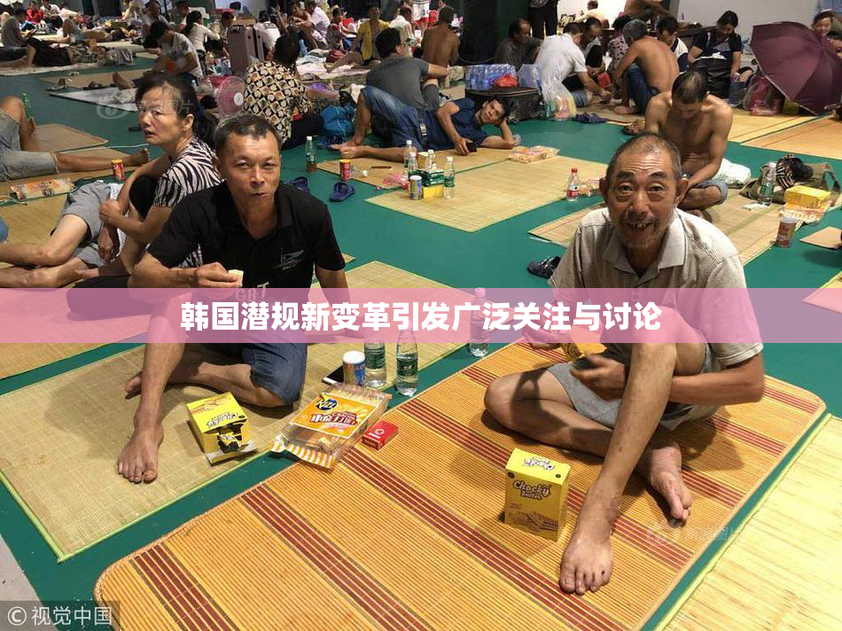 韩国潜规新变革引发广泛关注与讨论