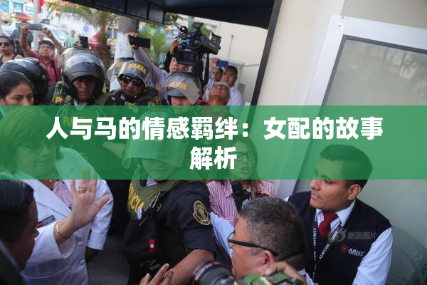 人与马的情感羁绊：女配的故事解析