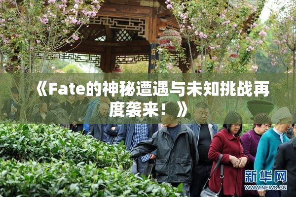 《Fate的神秘遭遇与未知挑战再度袭来！》