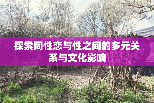 探索同性恋与性之间的多元关系与文化影响