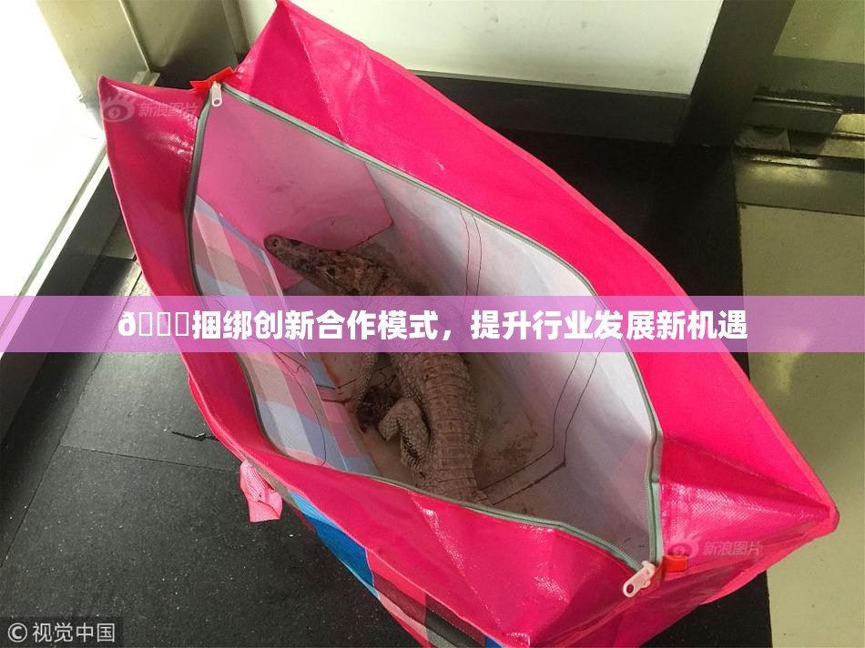 🔞捆绑创新合作模式，提升行业发展新机遇