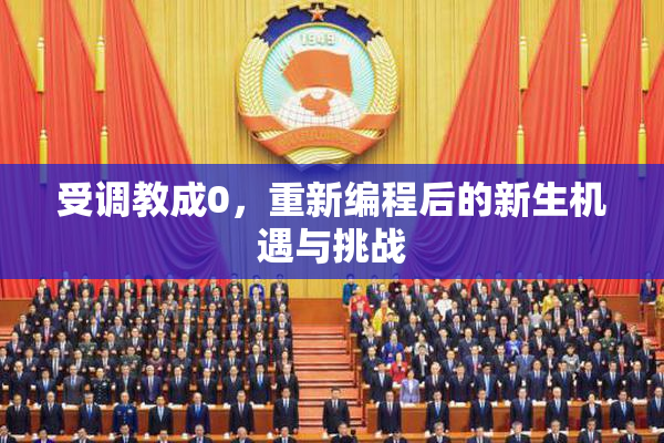受调教成0，重新编程后的新生机遇与挑战
