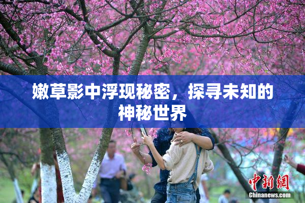 嫩草影中浮现秘密，探寻未知的神秘世界