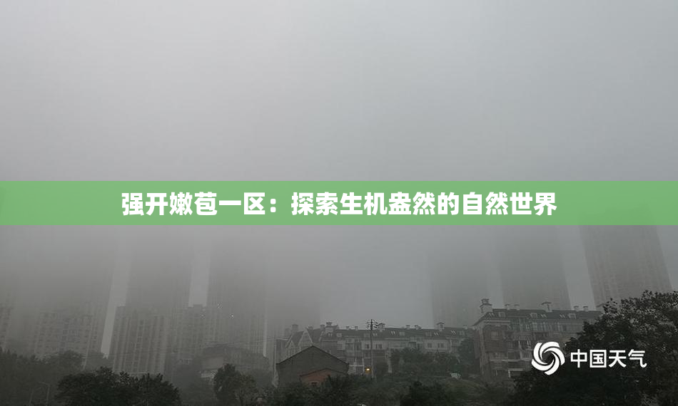 强开嫩苞一区：探索生机盎然的自然世界