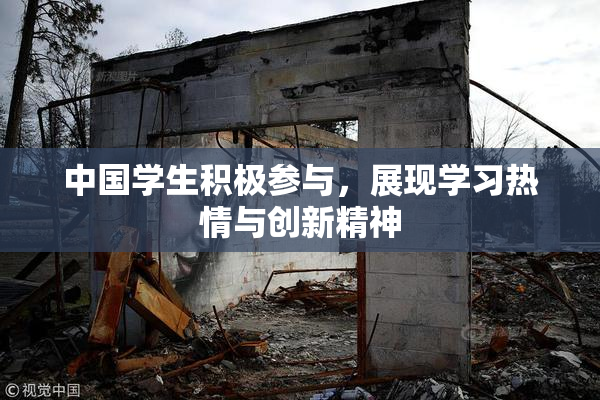 中国学生积极参与，展现学习热情与创新精神