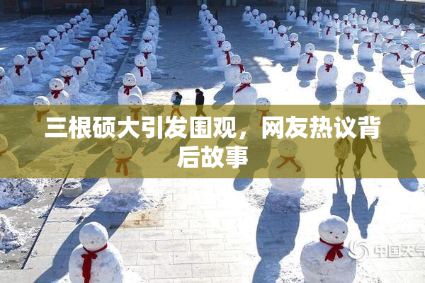 三根硕大引发围观，网友热议背后故事