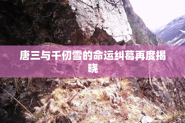 唐三与千仞雪的命运纠葛再度揭晓