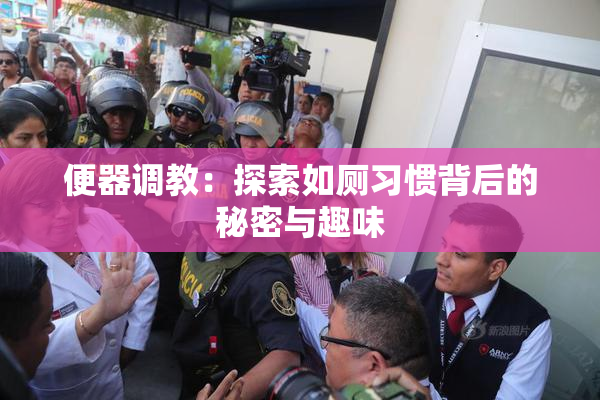便器调教：探索如厕习惯背后的秘密与趣味