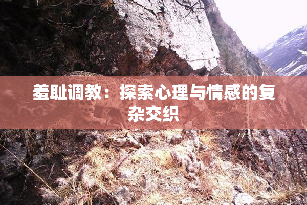羞耻调教：探索心理与情感的复杂交织
