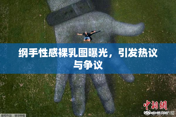 纲手性感裸乳图曝光，引发热议与争议