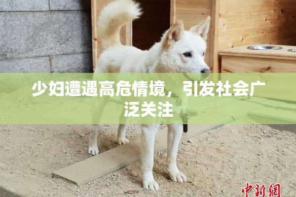 少妇遭遇高危情境，引发社会广泛关注