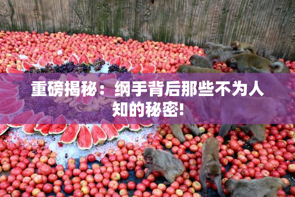 重磅揭秘：纲手背后那些不为人知的秘密!