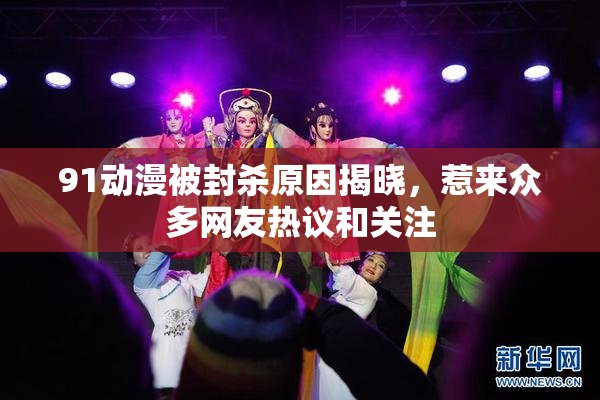 91动漫被封杀原因揭晓，惹来众多网友热议和关注