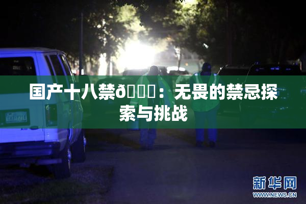 国产十八禁🔞：无畏的禁忌探索与挑战