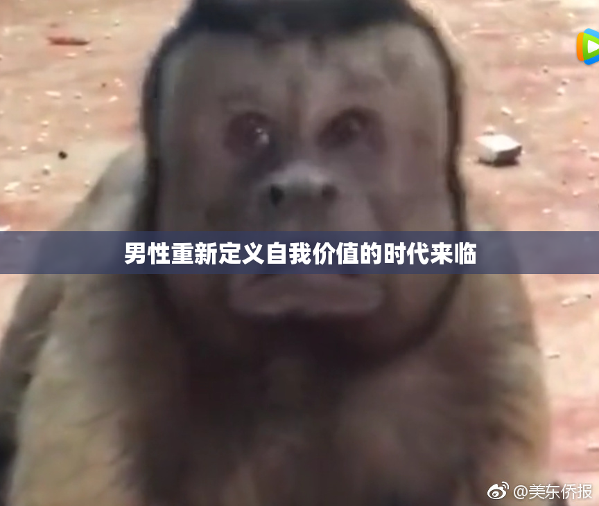 男性重新定义自我价值的时代来临