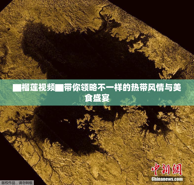 ▇榴莲视频▇带你领略不一样的热带风情与美食盛宴