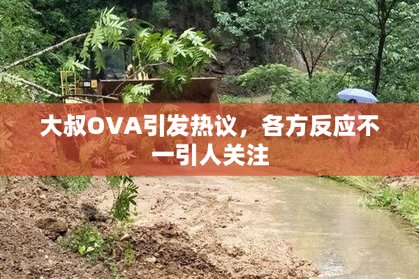 大叔OVA引发热议，各方反应不一引人关注