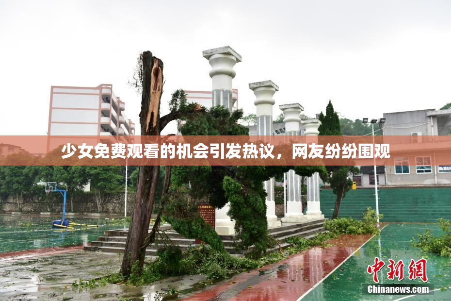 少女免费观看的机会引发热议，网友纷纷围观