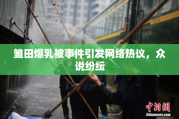 雏田爆乳被事件引发网络热议，众说纷纭
