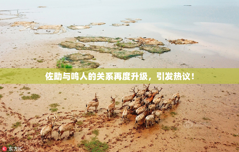 佐助与鸣人的关系再度升级，引发热议！