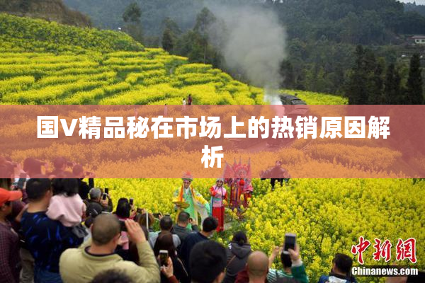 国V精品秘在市场上的热销原因解析