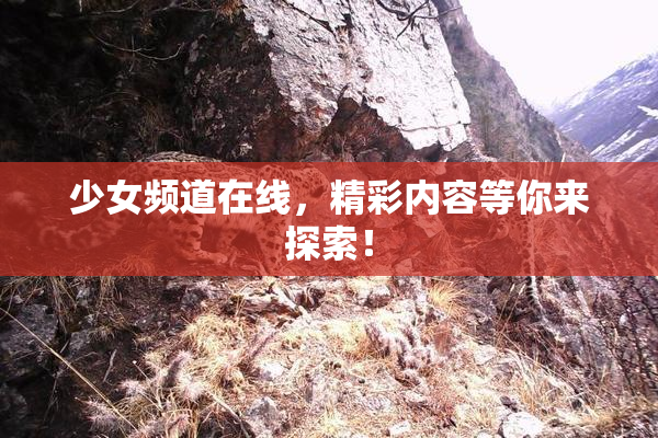 少女频道在线，精彩内容等你来探索！