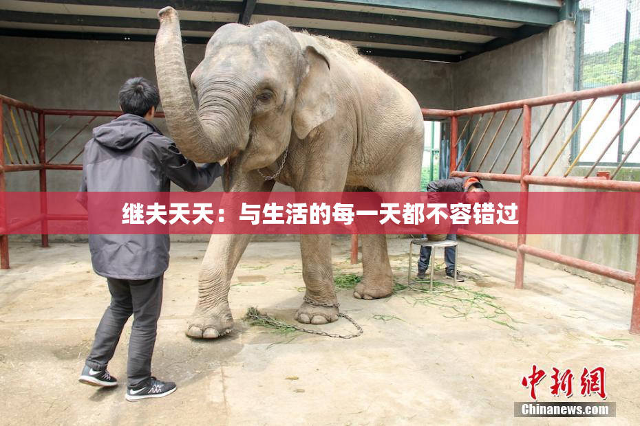 继夫天天：与生活的每一天都不容错过
