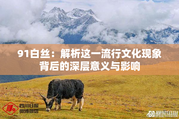 91白丝：解析这一流行文化现象背后的深层意义与影响